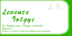 levente volgyi business card