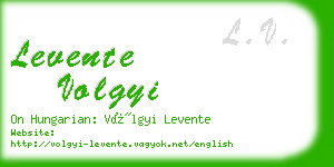 levente volgyi business card